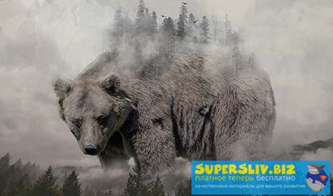 [Александр Сераков] Adobe Photoshop СС. Инструмент_0.jpg